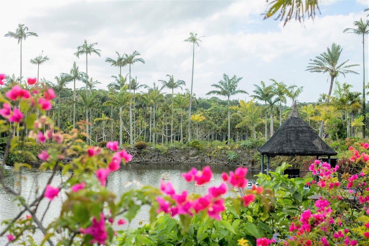 約1,300種類の植物に囲まれて、南国気分を味わおう！【東南植物楽園】