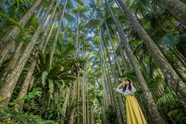 約1,300種類の植物に囲まれて、南国気分を味わおう！【東南植物楽園】