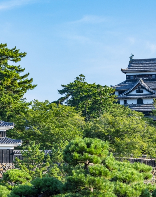 「山と海と湖の町、歴史ある松江の観光スポット」