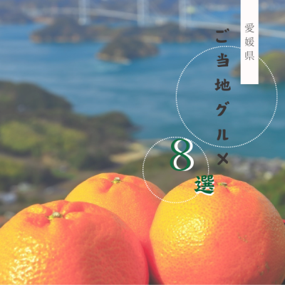 愛媛県のご当地グルメ８選